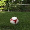 soccerone